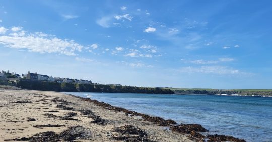 A beach and the sea with some houses along the shoreline in Caithness, Scotland.